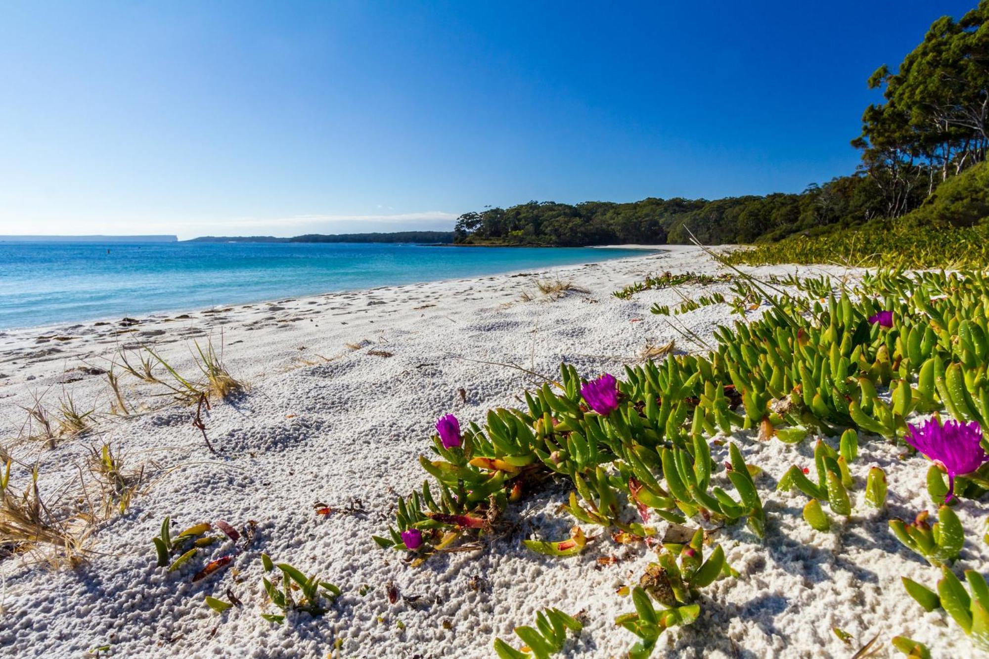 Bay And Bush Jervis Bay Villa Huskisson Buitenkant foto